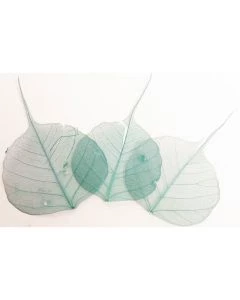 S95288