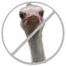 Etikett Karton Faden 100Stk braun 3x6cm